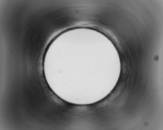 X0000103421328200810241025