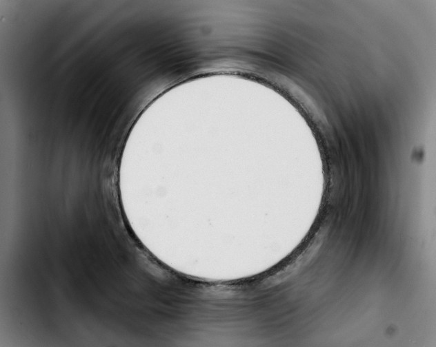 X0000103421329200810241025