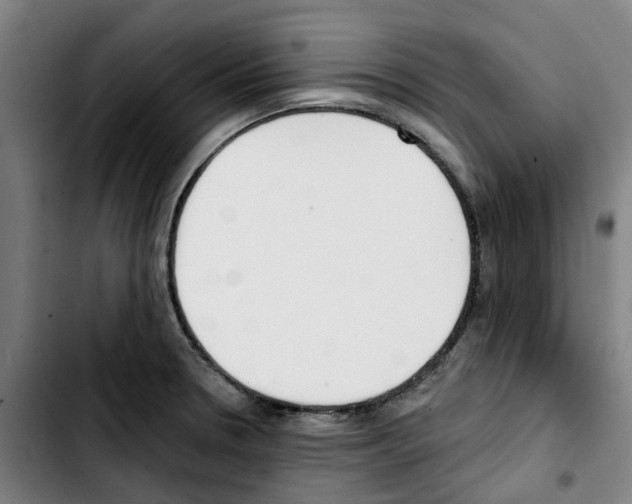 X0000103421330200810241025