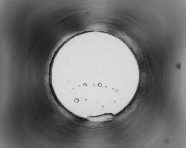 X0000103421331200810241025
