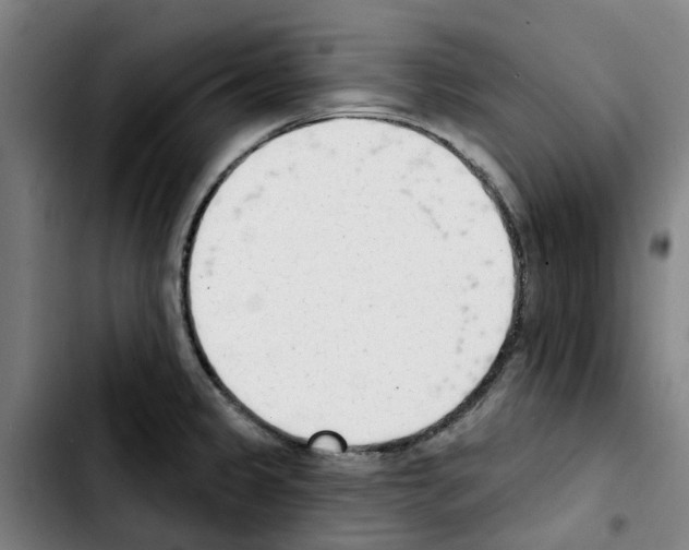 X0000103421333200810241025