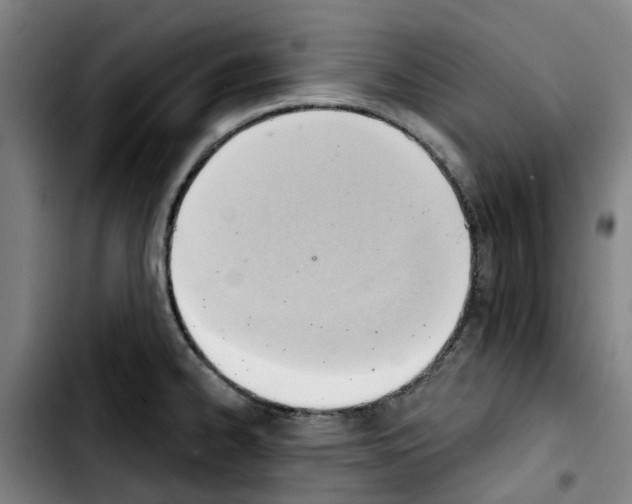 X0000103421334200810241025