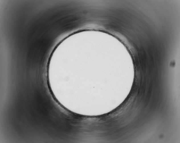 X0000103421335200810241025