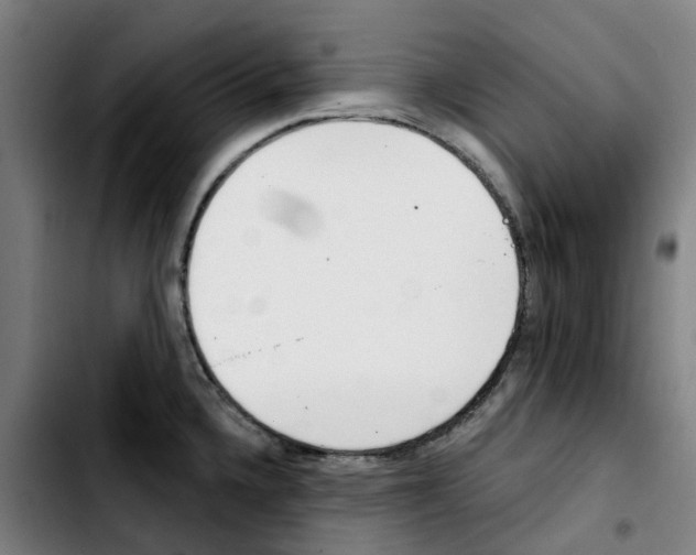 X0000103421336200810241025