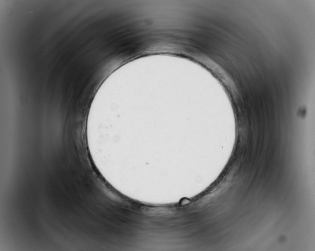 X0000103421337200810241025