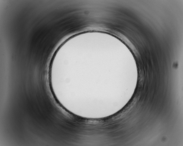 X0000103421339200810241025