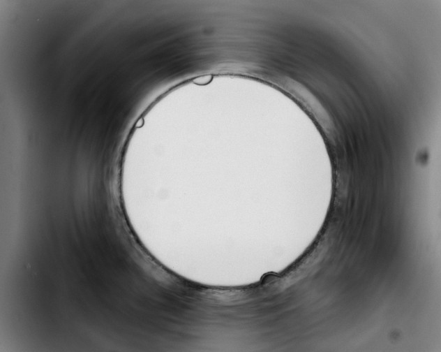 X0000103421340200810241025