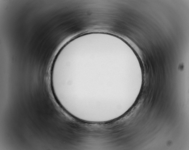 X0000103421341200810241025