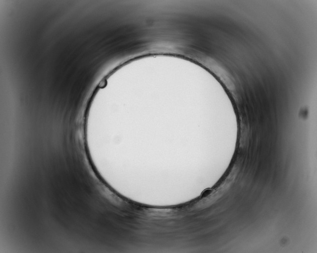 X0000103421342200810241025