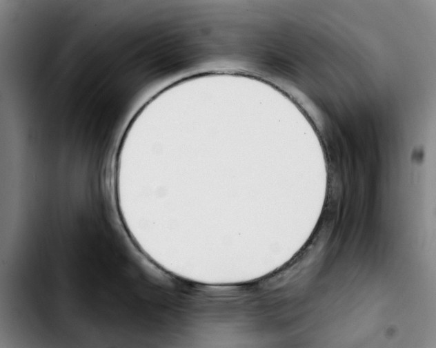 X0000103421343200810241025