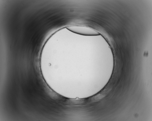 X0000103421344200810241025