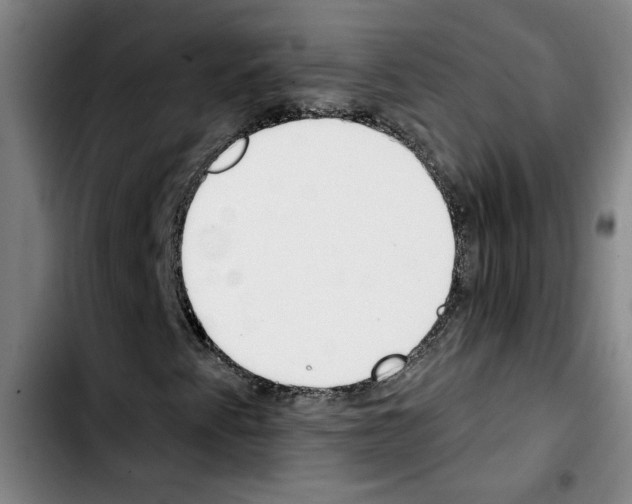 X0000103421345200810241025