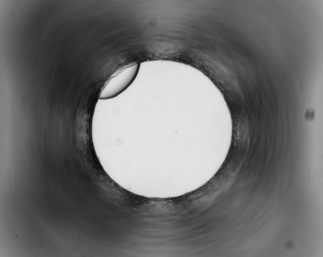 X0000103421346200810241025