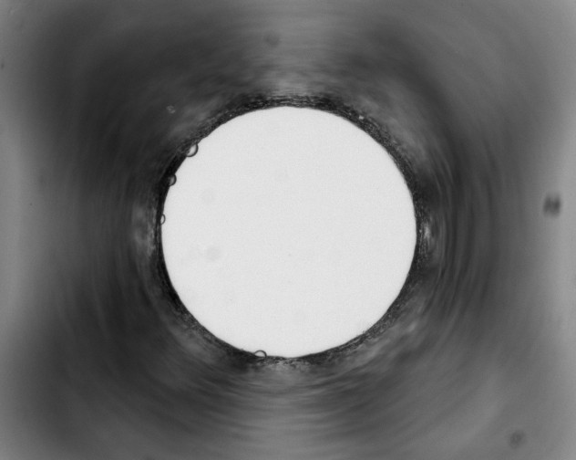 X0000103421348200810241025