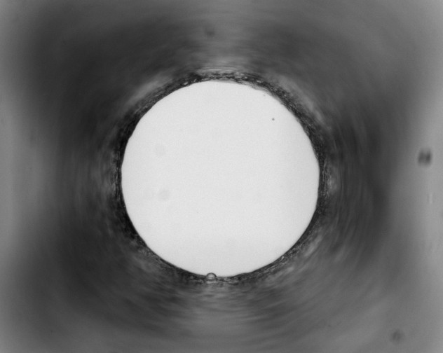 X0000103421350200810241025