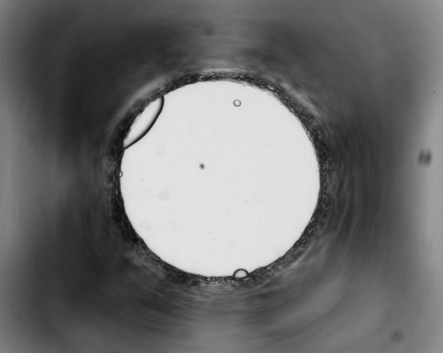 X0000103421351200810241025