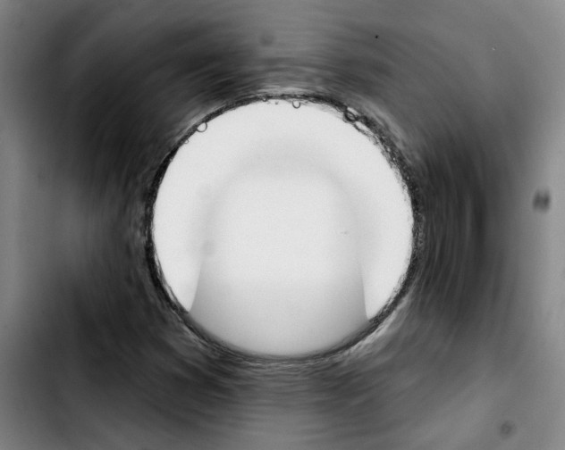 X0000103421353200810241025