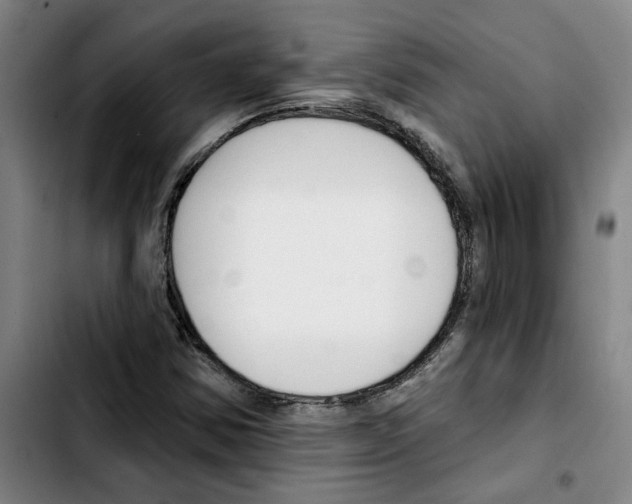 X0000103421354200810241024