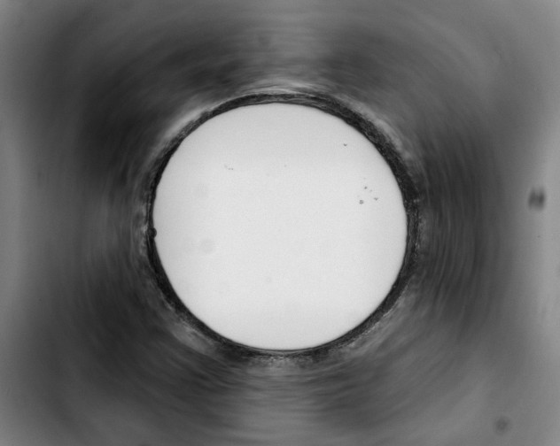 X0000103421355200810241024