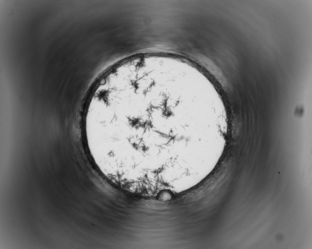 X0000103421356200810241024