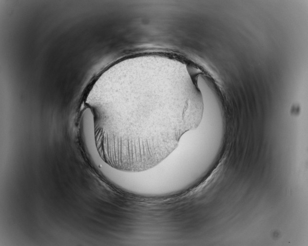 X0000103421357200810241024