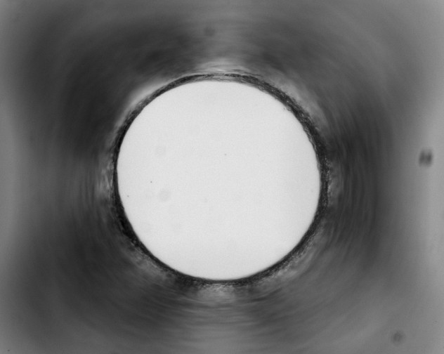X0000103421358200810241024