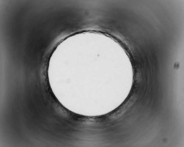 X0000103421359200810241024