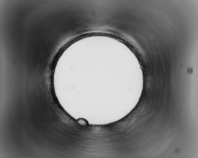 X0000103421360200810241024