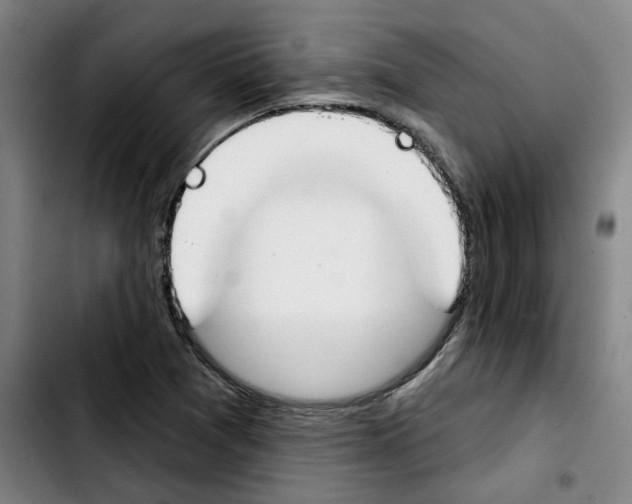 X0000103421361200810241024
