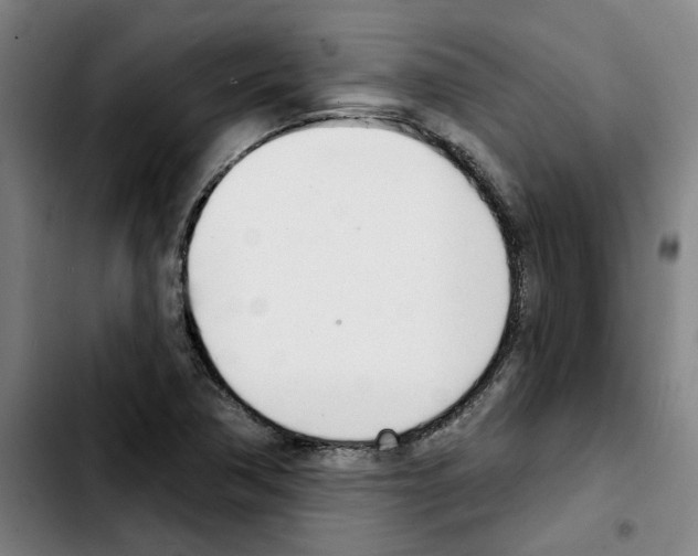 X0000103421362200810241024