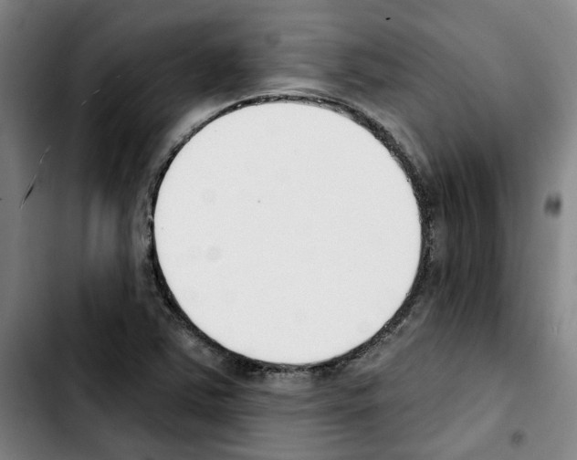 X0000103421363200810241024