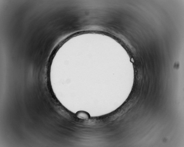 X0000103421364200810241024