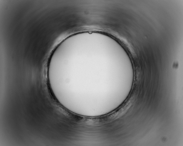 X0000103421365200810241024