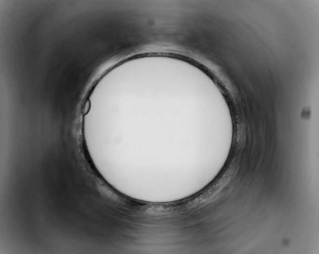 X0000103421366200810241024