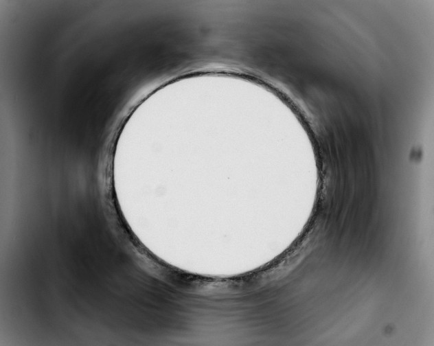 X0000103421367200810241024