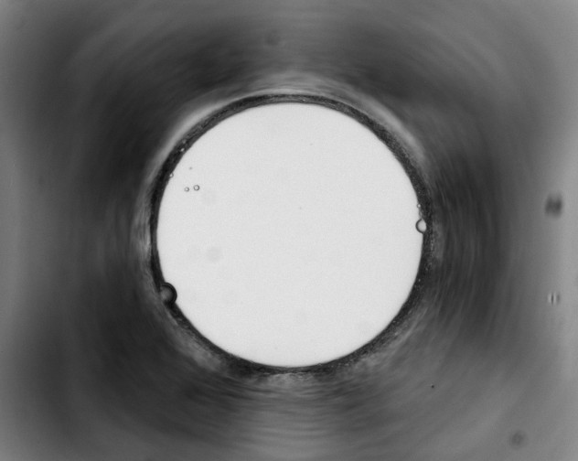 X0000103421368200810241024