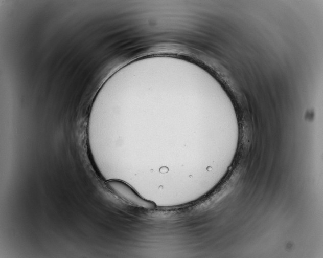 X0000103421369200810241024