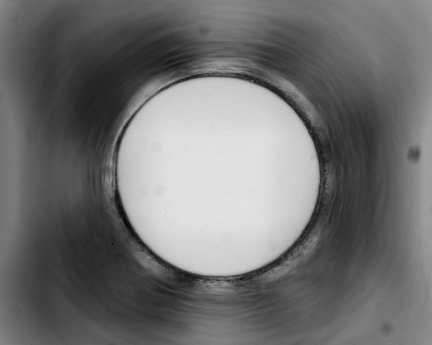 X0000103421370200810241024
