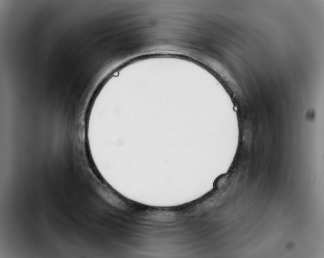 X0000103421372200810241024