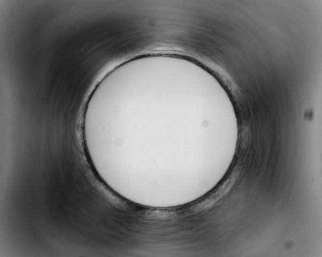 X0000103421374200810241024