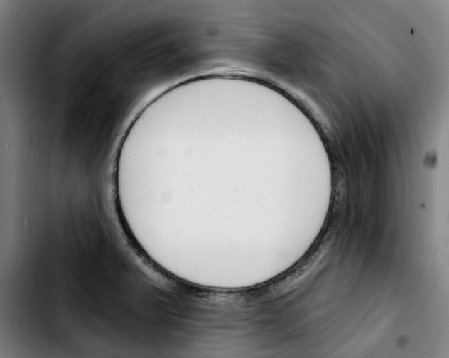 X0000103421375200810241024