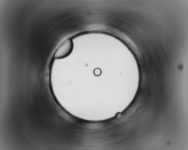 X0000103421376200810241024