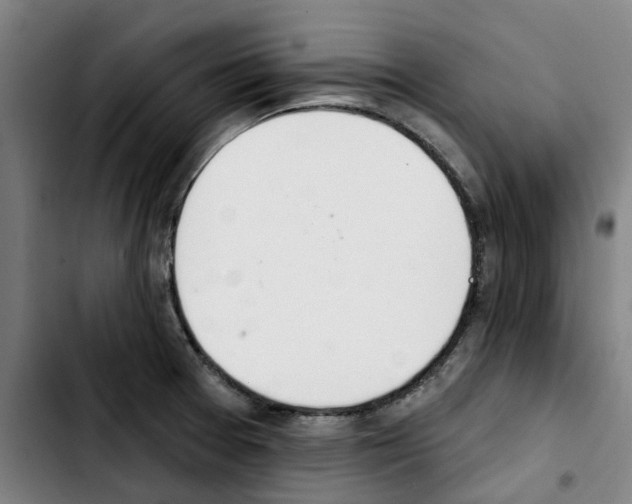 X0000103421377200810241024