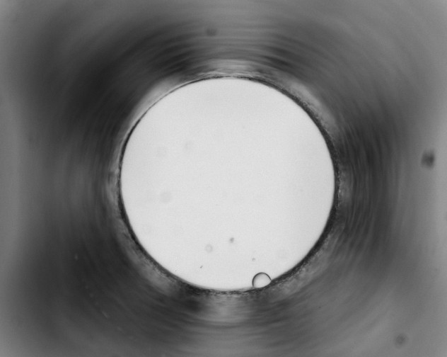 X0000103421378200810241024