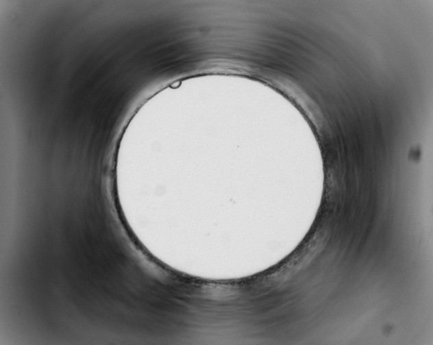 X0000103421379200810241024