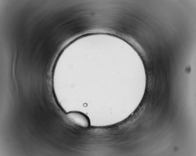 X0000103421380200810241024