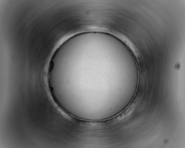 X0000103421381200810241024