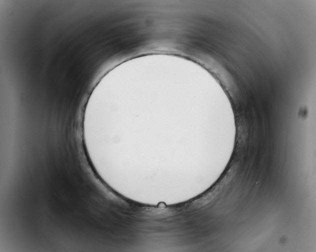 X0000103421382200810241024