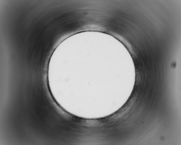 X0000103421383200810241024