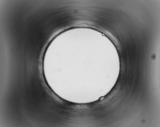 X0000103421384200810241024